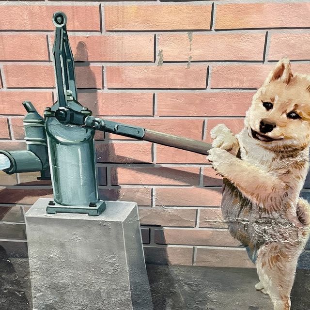 彰化忠權社區 🖌 有各種可愛的彩繪🖍狗狗🐶與你合照📷