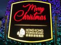 Christmas Attraction #11: The Biggest Outdoor Christmas Tree