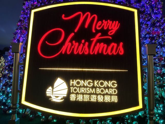 Christmas Attraction #11: The Biggest Outdoor Christmas Tree