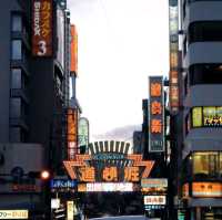 Osaka Castle and Dotonbori