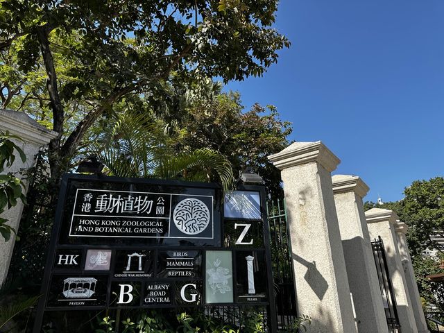 本地遊 | 香港動植物公園 | 必影蝴蝶蘭花廊