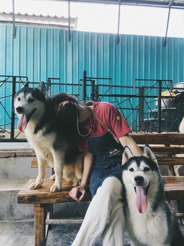 Dog Country Cafe สนุก ไม่จำกัดเวลา