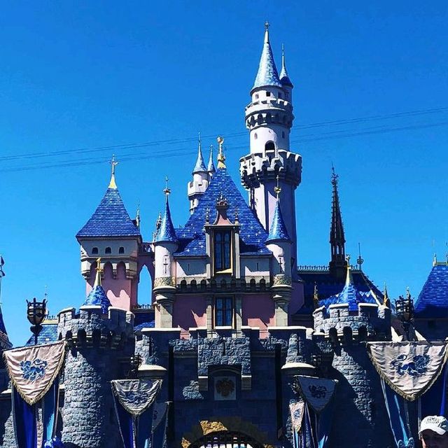 Moments at Disneyland California