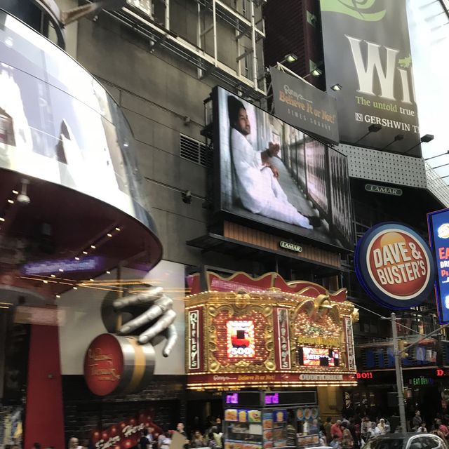[뉴욕] 자유가 넘치는 거리, 뉴욕 타임 스퀘어 🗽 🇺🇸 
