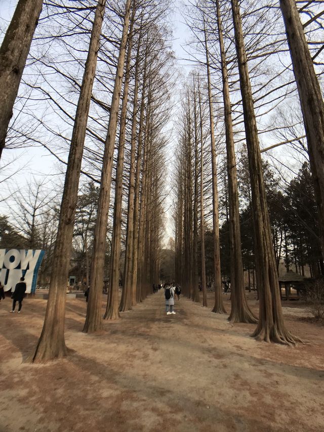 韓國｜春川南怡島