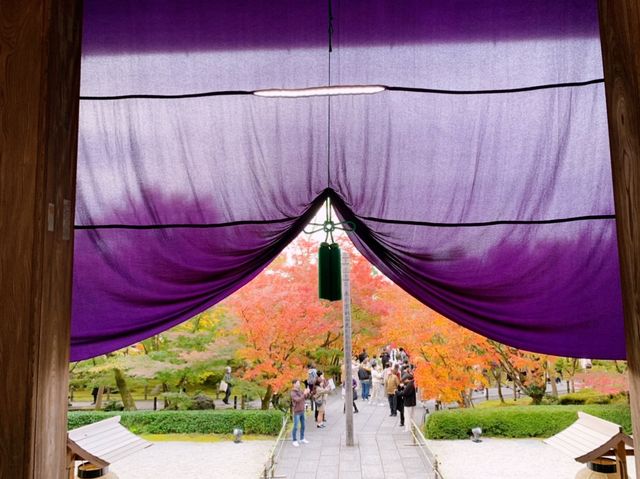 京都[紅葉めぐり]  永観堂(禅林寺)  圧巻の堂内編