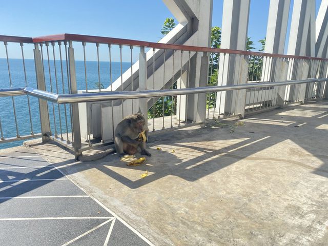 ล่าท่าลิง