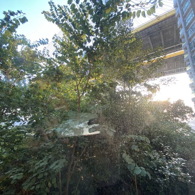 超平價Staycation