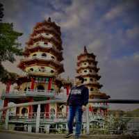 Lotus Pond 