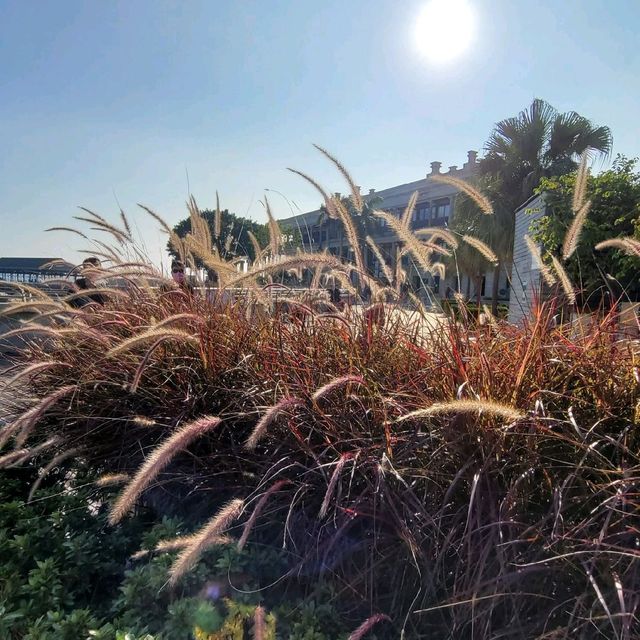 香港好去處 ～ 赤柱大街 