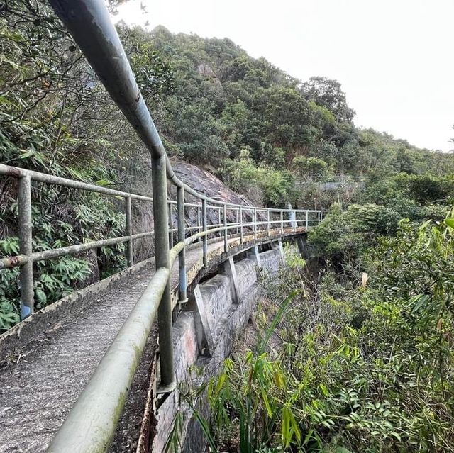 原始森林feel🌳的靚景🌠-紅香爐峰🏔