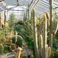 慕尼黑浪漫風植物園