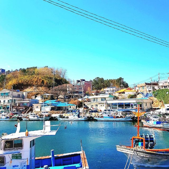 청량한 바다가 매력적인 곳, 울진🌊