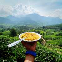 God’s own land