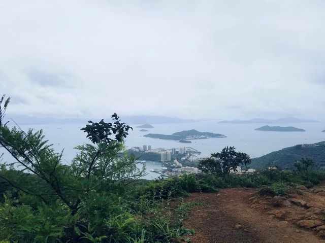 老虎頭