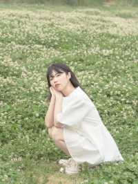 당진 필수 여행코스. 아그로랜드 태신목장🌿