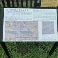 京都に来たなら世界遺産二条城に行こう‼︎✨