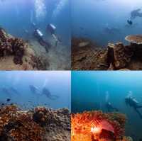 ไปเรียนดำน้ำ OPEN WATER ที่เกาะเต่ากัน🐢