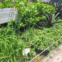 Urban Farm at Funan