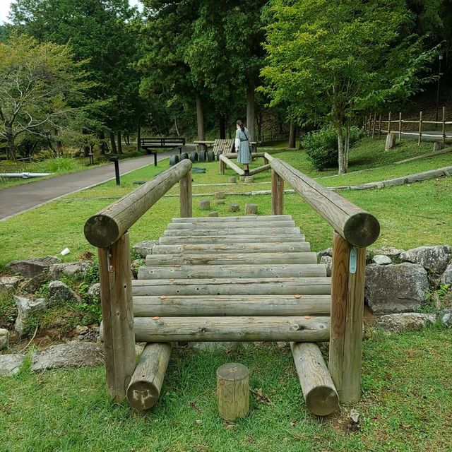 兵庫県！ユニトピア篠山で森林浴