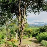 Coffe in Love Restaurant and Viewpoint