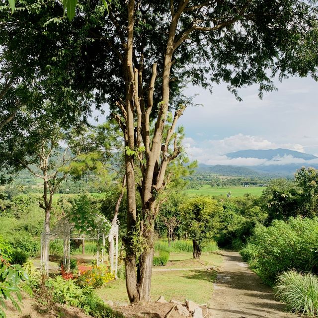 Coffe in Love Restaurant and Viewpoint