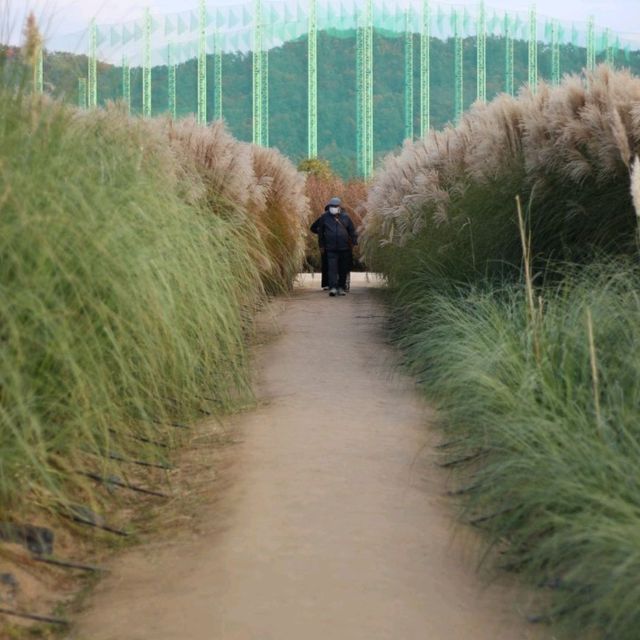 Nari Park Yangju