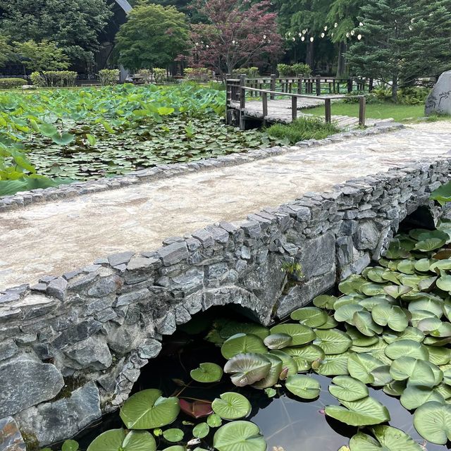 여름 냄새 가득했던 초록 초록한 남이섬 메타세콰이아 길 💚