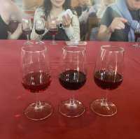 포르투 근교 도우로밸리에서 즐기는 포트와인🍷🇵🇹