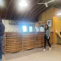 yering station winery 