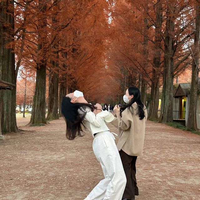 가을 단풍구경 막차입니당 ♥️🍁🍂