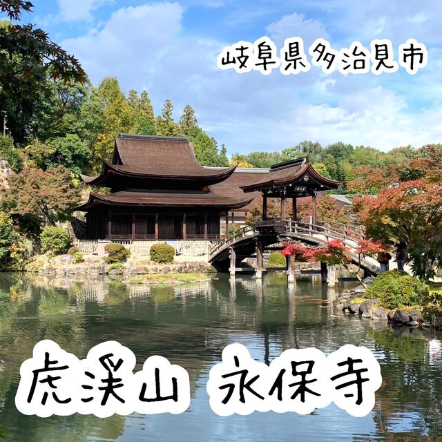 きれいな庭園と国宝の建物、土岐川を望む事も出来る歴史ある禅寺