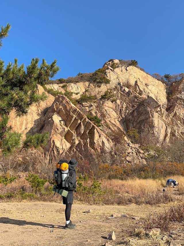 한국의 세렝게티에 오신 것을 환영합니다🦒