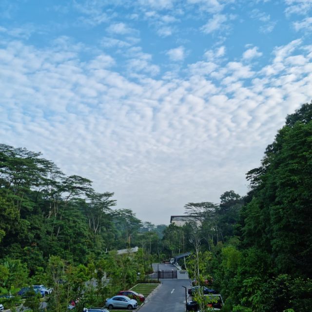 Hiking at Rifle range nature park