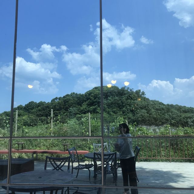 청주외곽 전망좋은 카페,하우즈필