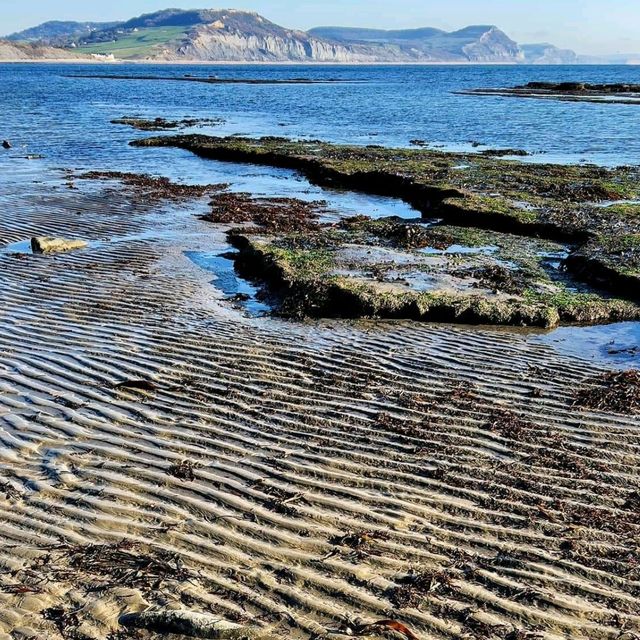 凡人去考古～英國南部Jurassic Coast