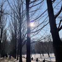 韓國🇰🇷春川南怡島🤲🏻冬日戀歌之路😌雪地浪漫💕漫步