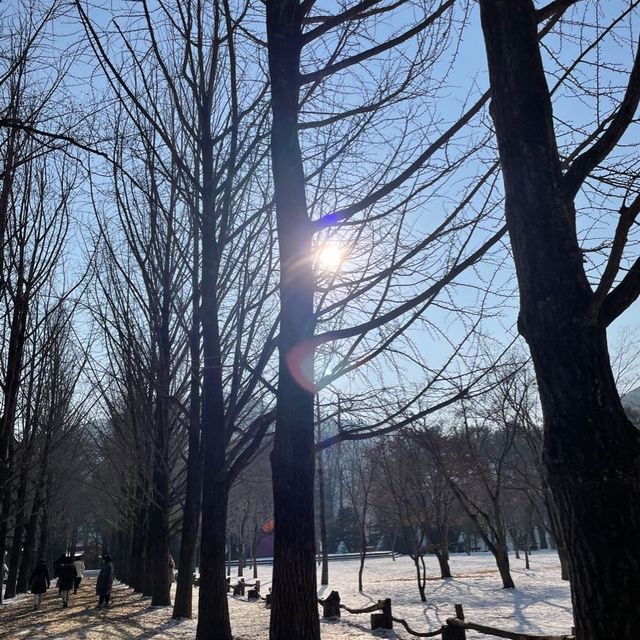 韓國🇰🇷春川南怡島🤲🏻冬日戀歌之路😌雪地浪漫💕漫步