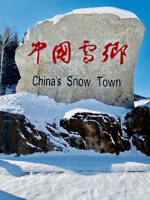 SNOW TOWN SNAPS  