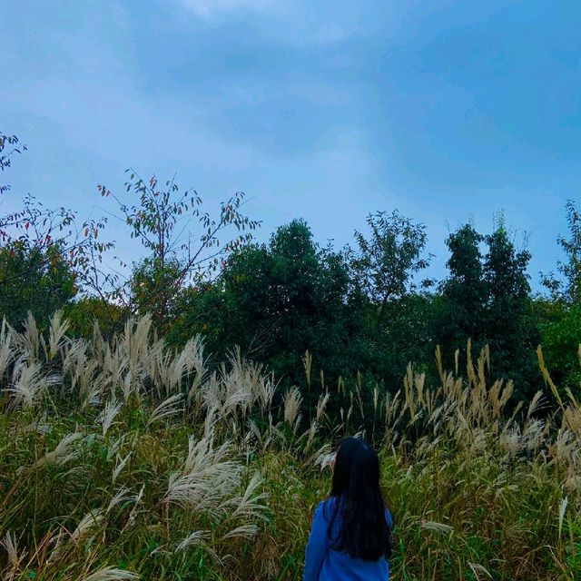 가을이 시작하는 곳, 을숙도