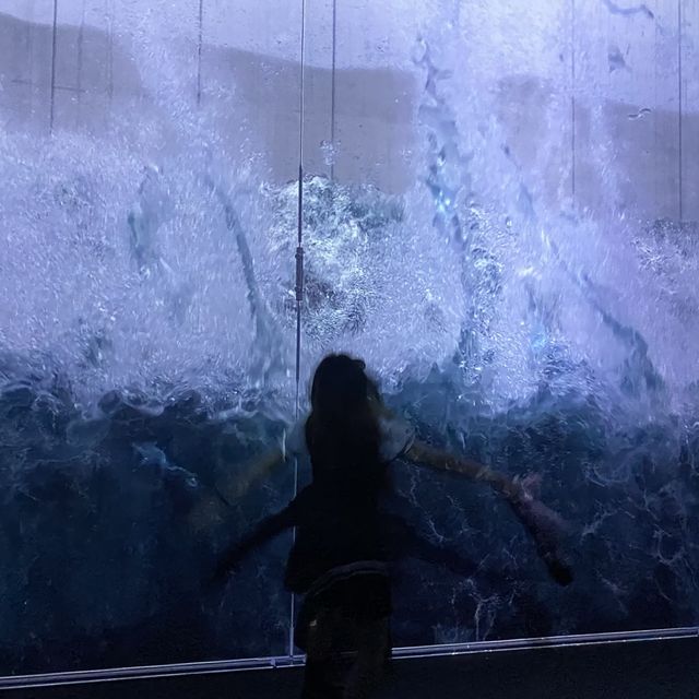 아르떼 뮤지엄🎭