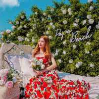 Papa Beach Pattaya🌹🌹🌹