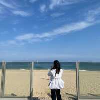 삼척해수욕장 바다앞 카페얼