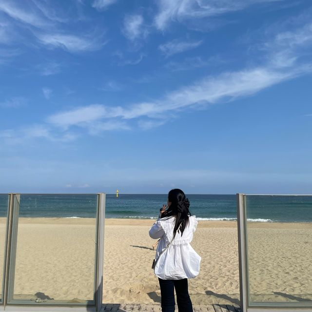 삼척해수욕장 바다앞 카페얼