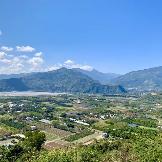 台東必去景點：鹿野高台，旁邊還有茂盛的櫻花🌸