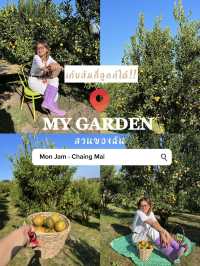 My Garden - Chiang Mai สวนส้มที่เก็บส้มกี่ลูกก็ได้