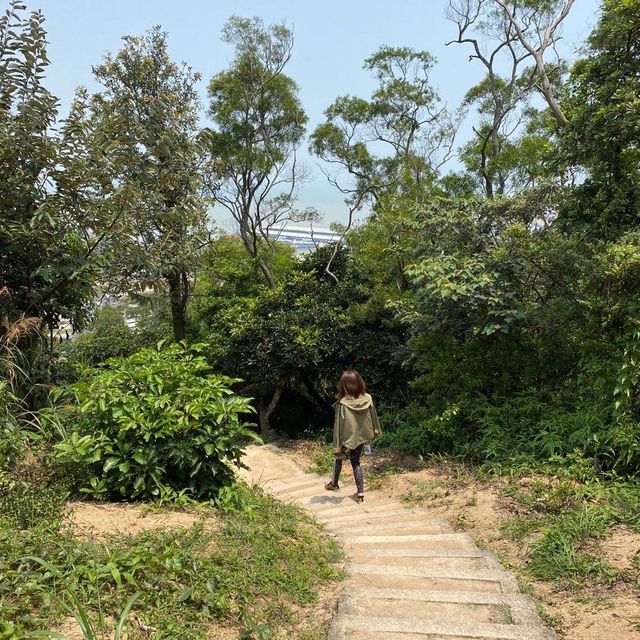 澳門人遊澳門🇲🇴旺中帶靜行山篇