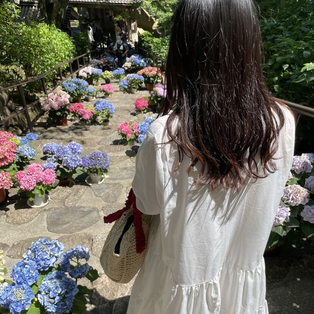 奈良県にある長谷寺に行ってきた！