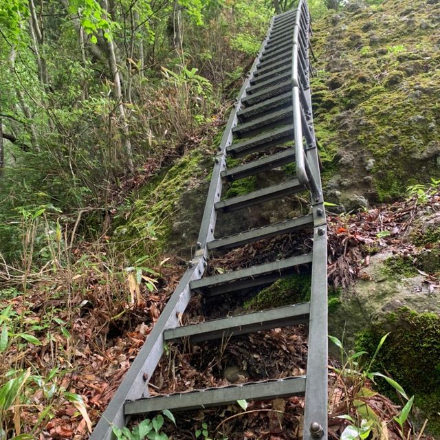 福井県の青葉山に行ってきた！