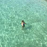 사람 없는 판포포구 가고싶은 사람🙋🏻‍♀️🏝🌴🌊